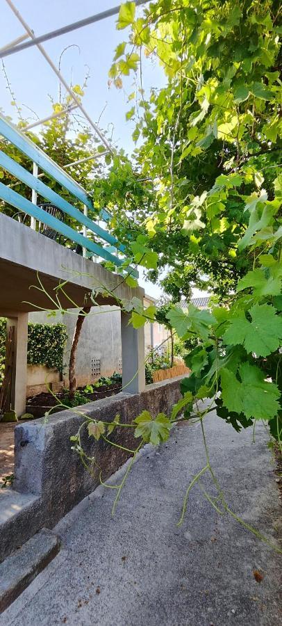 فيلا Family House "Pansion Kvarner" بونات المظهر الخارجي الصورة